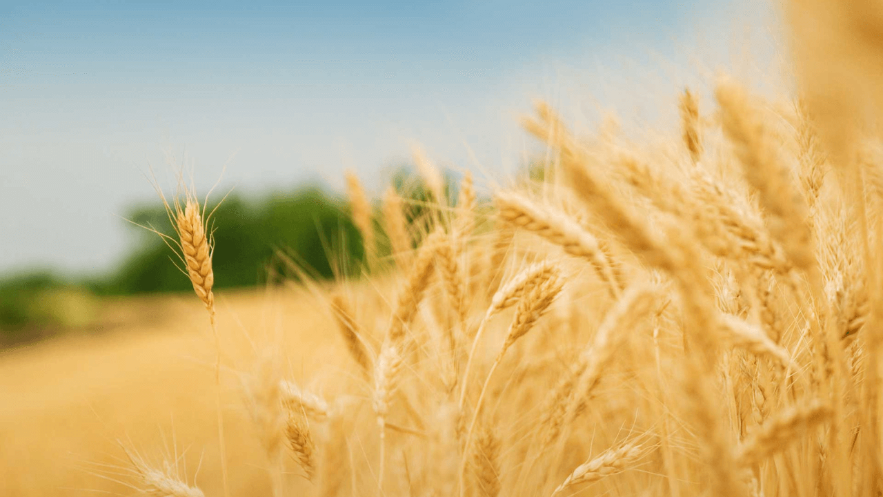 Compromiso con el medioambiente