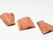 Salmón congelado Oblanca