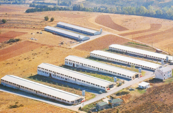  Grupo Oblanca dispone de su propia cadena de producción de carne avícola