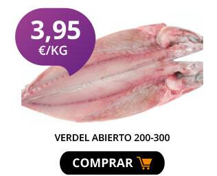 VERDEL ABIERTO 200-300